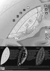 Риc. 7. Инновационная поверхность биокупола реагирует на солнечный свет и автоматически принимает наиболее эффективное положение для того, чтобы поглощать солнечный свет и генерировать энергию